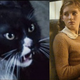 Image for article titled How Catching Fire Fixed All the Worst Mistakes The Hunger Games Made